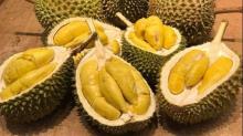 Wow, Thailand Berambisi Kirim Durian ke Angkasa