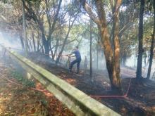 Hutan Sei Ladi Terbakar, Asap Sempat Penuhi Ruas Jalan
