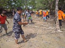 TNI AL Tanam 2.000 Bibit Bakau di Lingga