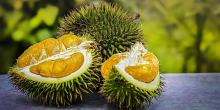 Enam Pegawai Pos di Jerman Dilarikan ke RS Karena Paket Berisi Durian