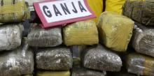 Petugas Amankan 7 Kilo Ganja di Dalam Paket Pengiriman Garuda