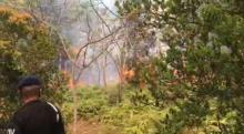 Breakingnews: Hutan Sekitar Bandara Hang Nadim Terbakar