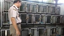 Penyelundup 1.371 Ekor Burung Kabur  Saat Penangkapan di Batubesar