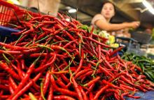 Siap-siap Harga Cabai Meroket Akhir Tahun ini di Batam