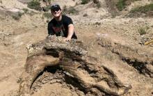 Mahasiswa Amerika Temukan Fosil Dinosaurus Berusia Jutaan Tahun