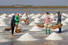 Harga Garam di Tanjungpinang Capai Rp 7.000 per Kg