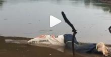 Video: Mayat Wanita di Jembatan Dompak Diduga Korban Pembunuhan   
