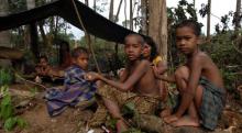 Anak Rimba Jambi; dari Animisme Masuk Islam Hidup Sejahtera