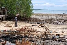 Limbah Minyak Hitam yang Cemari Pantai di Batam Bisa Sebabkan Kanker