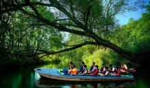 Begini Cara Dukung Mangrove Bintan di API 2018