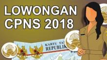Pengumuman CPNS melalui Website BKN