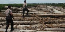 Sudah Setahun Berkas Perambah Hutan Lengkap, tapi Belum Dilimpahkan ke Jaksa 