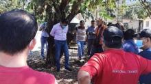 Ingkari Janji Kampanye, Warga Ikat Wali Kota di Pohon