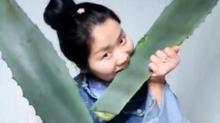  Parah! Perempuan Ini Live Makan Tanaman Beracun