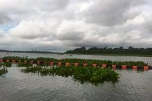BP Batam Rutin Tertibkan Area Waduk Jaga Kualitas Air Baku