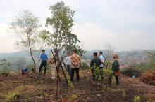 Bersama BP Batam, ATB akan Tanam 1000 Pohon di Sei Harapan dan Duriangkang