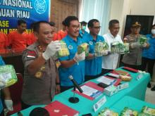 BNN Ringkus Sindikat Narkoba Antar Negara di Moro Karimun