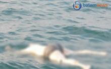 Kepala Mayat Pria Mengambang di Perairan Bintan Diduga Dimakan Ikan