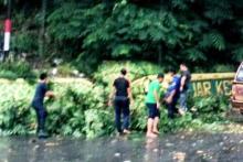 Angin Kencang di Karimun, Hendrik Nyaris Celaka Tertimpa Dahan Pohon 