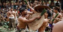 Perang Pandan Siap Unjuk Gigi di Festival Tenganan 2018