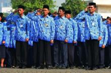 Ingat! Besok Pendaftaran CPNS 2018 Dibuka