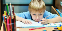 Fakta Unik  Anak Kidal yang Harus Kamu Ketahui
