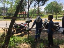 Kisah Regar Si Penjual Lumut