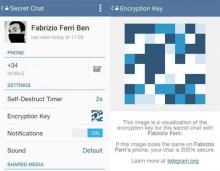 Diduga Dipakai Teroris, Chating via Telegram Diblokir di Indonesia