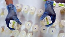 Lurah Sukajadi Diduga Tewas Overdosis, BNN Kota Batam Siap Tes Urine PNS Pemko Batam