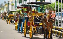 Tega, Maling di Yogyakarta Gasak Kuda Penarik Andong