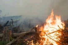BMKG Imbau Warga Tak Buka Lahan Dengan Cara Dibakar