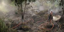 Ini Hukuman Bagi Individu dan Perusahaan Pembakar Lahan dan Hutan