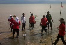 Bakamla Maritim Barat Tanam Ratusan Bibit Mangrove di Batam