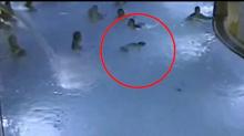 Video Tragis, Bocah Tenggelam di Kolam Renang Dicuekin Orang Ramai