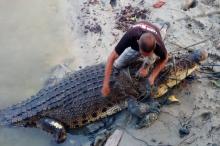 DPRD Lingga Desak Pemkab Atasi Tingginya Populasi Buaya
