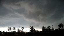Batam Mendung, Angin Kencang Tumbangkan Pohon dan Tiang Listrik 