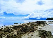 7 Rekomendasi Objek Wisata di Lingga saat Tradisi Mandi Safar