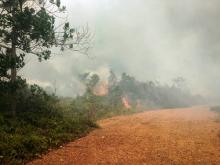 Lahan di Dompak Terbakar, Api Berkobar Hingga ke Pinggir Jalan