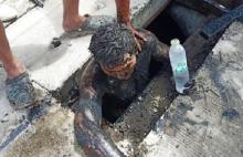 Buronan Dikejar Polisi Sembunyi di Septic Tank, Begini Jadinya