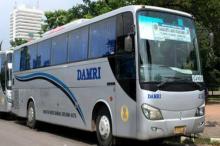 Damri Sei Pinang-Daik Lingga Setop Operasi, Warga: Kapan Jalan Lagi?