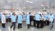 Ekspor Perdana ke AS, Saham Sat Nusa Melesat 11 Persen