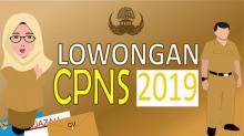 Mulai Dibuka Hari Ini, Begini Alur Pendaftaran CPNS 2019