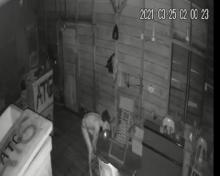 Terekam CCTV, Maling Beraksi Hanya Pakai Celana Dalam di Tanjungpinang