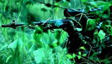 Baku Tembak, MNLF Tewaskan 4 Anggota Abu Sayyaf untuk Bebaskan 7 WNI