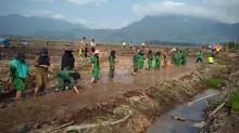 Awe Yakin Sawah di Desa Panggak Panen Besar