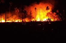Ancaman Kebakaran Lahan di Bintan, BPBD Bagi Nomor Damkar