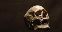 Warga Temukan Tulang Belulang Manusia di Hutan Sei Temiang