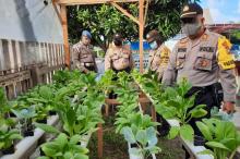 Dukung Ketahanan Pangan, Polsek Dabo di Lingga Budidaya Sayuran Hidroponik dan Lele Jumbo