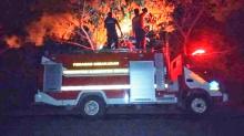 Petugas Damkar 5 Jam Berjibaku Jinakkan Kebakaran Lahan di Bintan