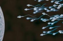 Sperma Cair? Kenali Penyebab hingga Cara Mengatasinya